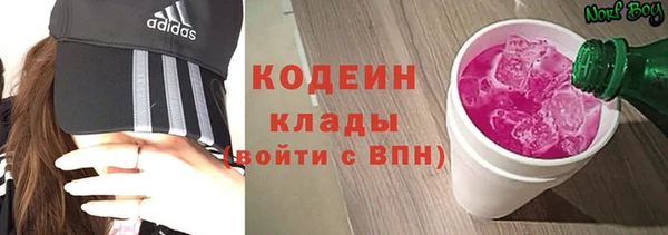 хмурый Алзамай