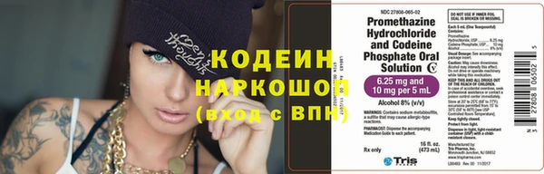 хмурый Алзамай