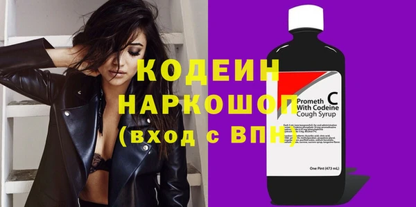 хмурый Алзамай