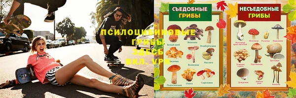 хмурый Алзамай
